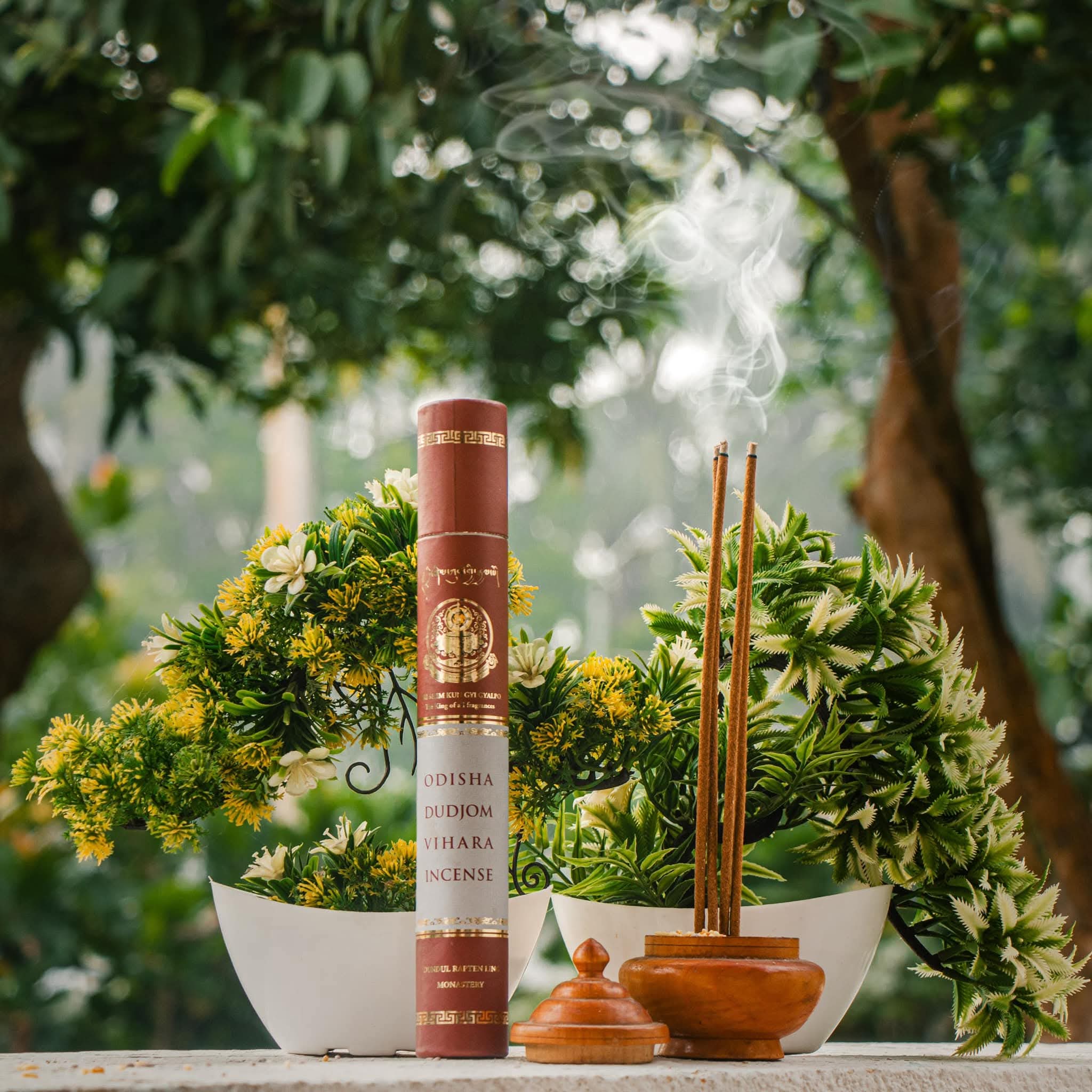 A tube of Odisha Dudjom Vihara Incense beside two burning sticks in a wooden holder, smoke rising among plants